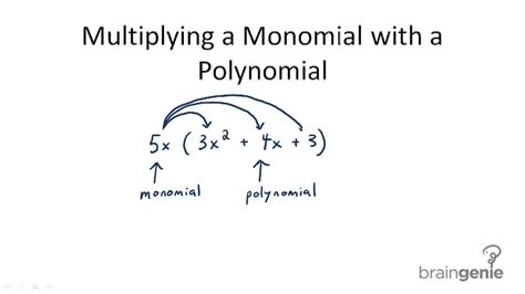 Multiplying monomials calculator - The procedure to use the multiplying monomials calculator is as follows: Step 1: Enter the monomials in the respective input field. Step 2: Now click the button “Multiplying” to get the product. Step 3: Finally, the product of two monomials will be displayed in …